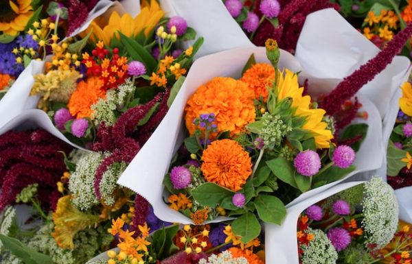 פורחים בשביל הנפש: כיצד פרחים יכולים לסייע בהתמודדות עם לחץ וחרדה?