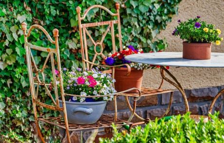 מדוע לשכור את שירותיו של מעצב גינות?